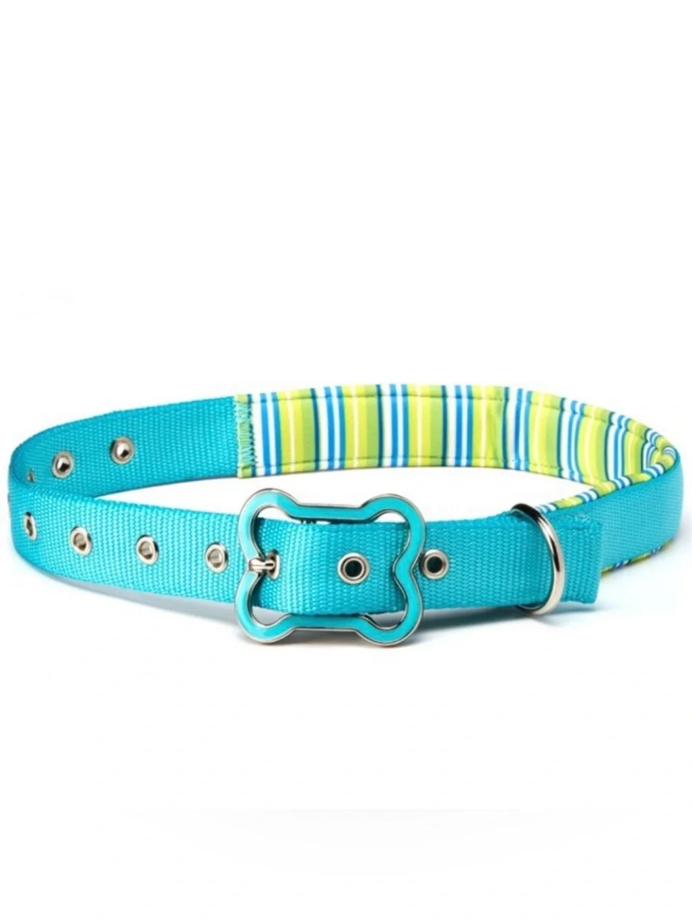 Vibrant Teal Padded Dog Collar with Bone-Shaped Buckle sz L